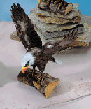 Image of 8 IN. WOODEN EAGLE ON BRANCH