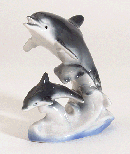 Image of PORC DOLPHIN  BABY ON WAVES