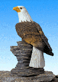 Image of PORC EAGLE ON ROCK