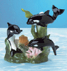 Image of PORC KILLER WHALES