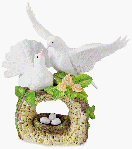 Image of PORC. DOUBLE DOVES WNEST