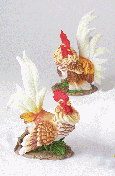 Image of PORC. ROOSTERS PAIR