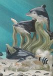 Image of PORC DOLPHIN FAMILY ON SEABED