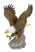 Image of PORC. EAGLE ON ROCK