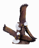 Image of PORC. EAGLES IN FLIGHT