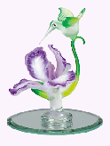 Image of GLASS HUMMINGBIRD ON IRIS