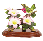 Image of PORC. HUMMINGBIRD AT FLOWER