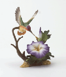 Image of PORC HUMMINGBIRDMORNING GLORY