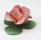 Image of PORCELAIN PEACH ROSE