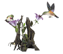 Image of WOOD HUMMINGBIRDS ON BRANCH