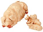 Image of PORC. MAMA PIG WPIGLETS
