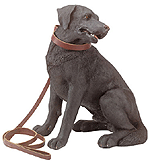 Image of ALAB. LARGE BLACK LABRADOR