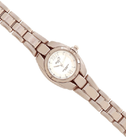 Image of LADYS TITANIUM LOOK WATCH