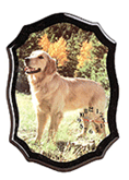 Image of LABRADOR QTZ. WALL CLOCK