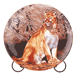 Image from Patchwork