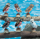 Image of WOODEN OWL 6-PC SET