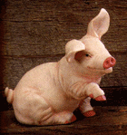 Image of PORC. PIG WHOOF UP