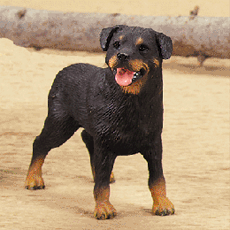 Image of ALAB. STANDING ROTTWEILER