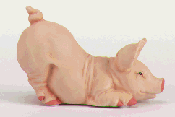 Image of PORC PINK PIG