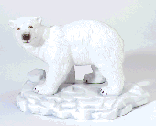 Image of PORC POLAR BEAR ON ICE