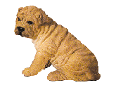 Image of ALAB SITTING SHAR-PEI