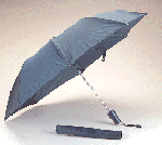 Image from Umbrella