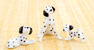 Image of PORC 3 PC MINI DALMATION DOGS