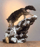 Image of ALAB WOLF CHASING RABBIT