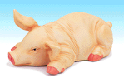 Image of PORC PINK PIG LYING DOWN