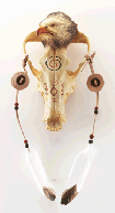 Image of ALAB. EAGLE HEAD ON SKULL