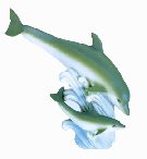 Image of ALAB. DOLPHINS ON WAVE