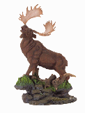 Image of ALAB. MOOSE ON GRASS