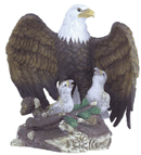 Image of PORC. EAGLE WCHICKS IN NEST