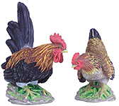 Image of PORC. ROOSTER  HEN