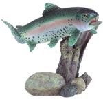 Image of ALAB.RAINBOW TROUT