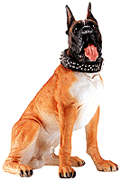Image of ALAB. LARGE BOXER DOG