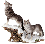 Image of ALAB. WOLVES PAIR