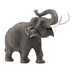 Image of ALAB ELEPHANT WITH TRUNK UP