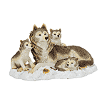 Image of Alab. Wolf Family On Snow
