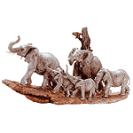 Image of Alab Elephant Family