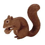 Image of ALAB. SQUIRREL EATING NUT