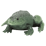 Image of ALAB. FROG - RIBBIT SOUND